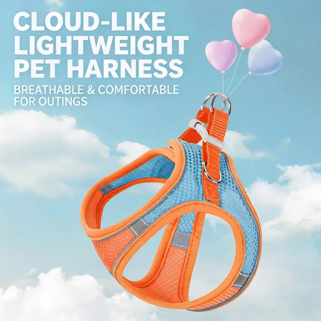 Spoiled Paws Adjustable Pet Safety Belt & Strap Set - Solid Lightweight Harness, Non-Customized Stainless Steel Martingale Collar, Breathable Mesh Leads for Travel, Training, Universal Hiking Use (1 Size, Machine Washable)