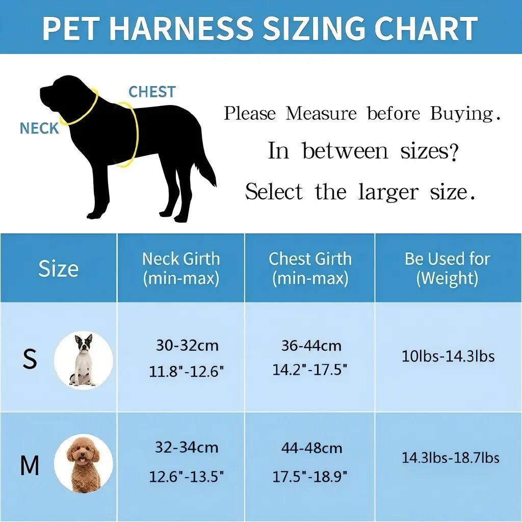 Spoiled Paws Adjustable Pet Safety Belt & Strap Set - Solid Lightweight Harness, Non-Customized Stainless Steel Martingale Collar, Breathable Mesh Leads for Travel, Training, Universal Hiking Use (1 Size, Machine Washable)