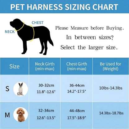Spoiled Paws Adjustable Pet Safety Belt & Strap Set - Solid Lightweight Harness, Non-Customized Stainless Steel Martingale Collar, Breathable Mesh Leads for Travel, Training, Universal Hiking Use (1 Size, Machine Washable)
