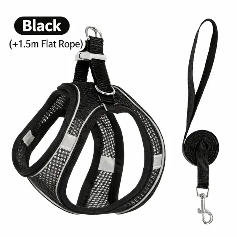 Spoiled Paws Adjustable Pet Safety Belt & Strap Set - Solid Lightweight Harness, Non-Customized Stainless Steel Martingale Collar, Breathable Mesh Leads for Travel, Training, Universal Hiking Use (1 Size, Machine Washable)
