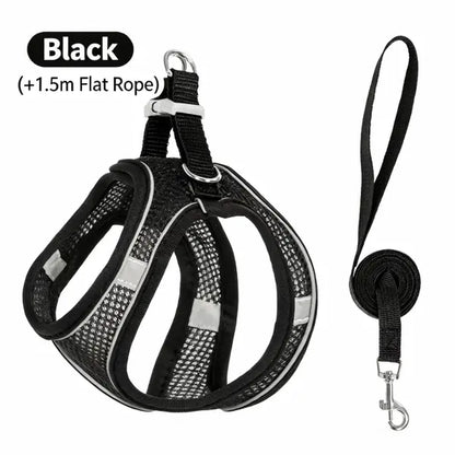 Spoiled Paws Adjustable Pet Safety Belt & Strap Set - Solid Lightweight Harness, Non-Customized Stainless Steel Martingale Collar, Breathable Mesh Leads for Travel, Training, Universal Hiking Use (1 Size, Machine Washable)