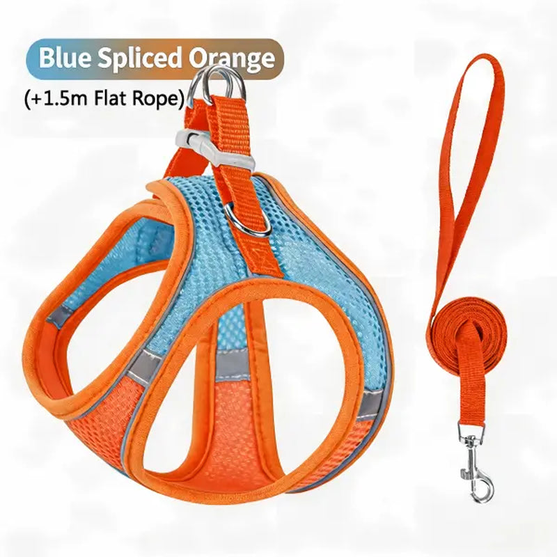 Spoiled Paws Adjustable Pet Safety Belt & Strap Set - Solid Lightweight Harness, Non-Customized Stainless Steel Martingale Collar, Breathable Mesh Leads for Travel, Training, Universal Hiking Use (1 Size, Machine Washable)