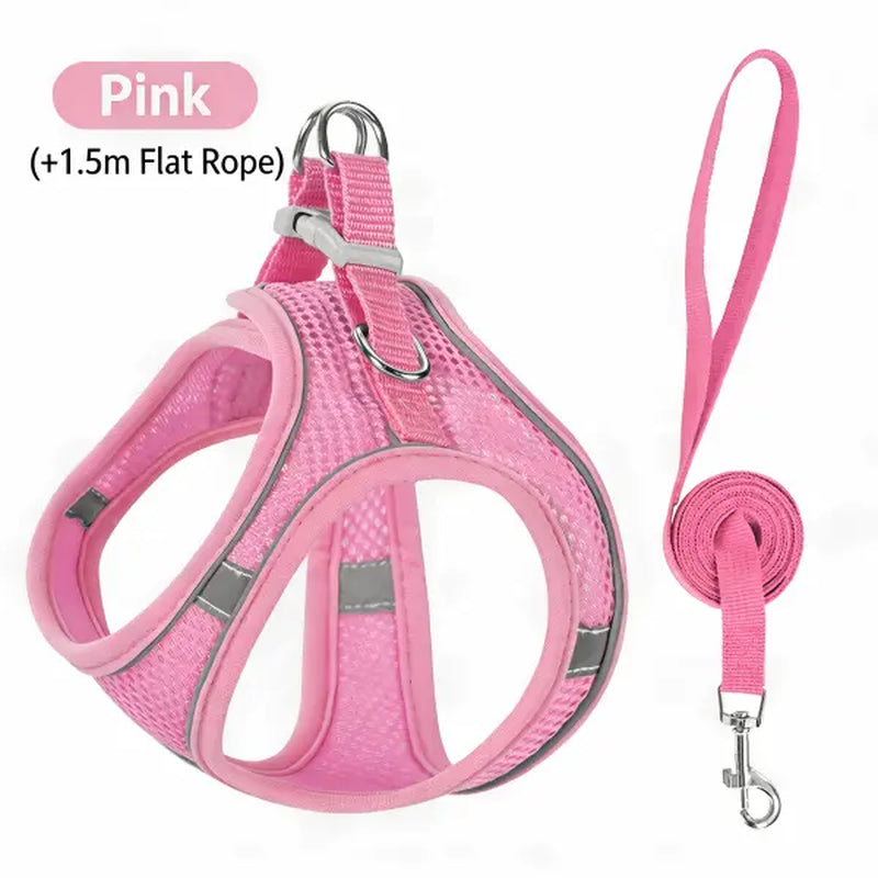 Spoiled Paws Adjustable Pet Safety Belt & Strap Set - Solid Lightweight Harness, Non-Customized Stainless Steel Martingale Collar, Breathable Mesh Leads for Travel, Training, Universal Hiking Use (1 Size, Machine Washable)