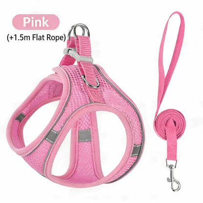 Spoiled Paws Adjustable Pet Safety Belt & Strap Set - Solid Lightweight Harness, Non-Customized Stainless Steel Martingale Collar, Breathable Mesh Leads for Travel, Training, Universal Hiking Use (1 Size, Machine Washable)